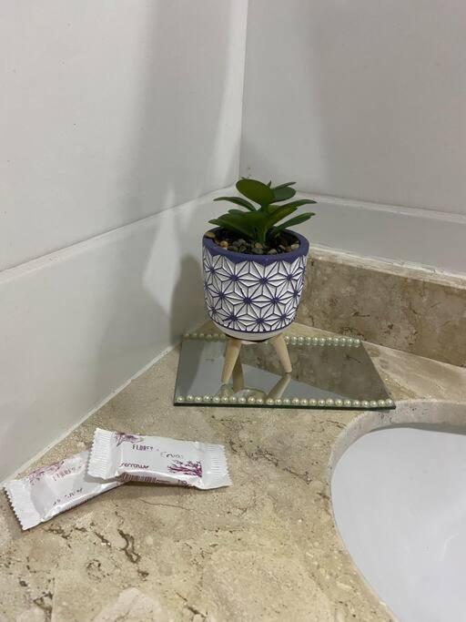 Flat Elegante E Bem Localizado Διαμέρισμα Feira de Santana Εξωτερικό φωτογραφία